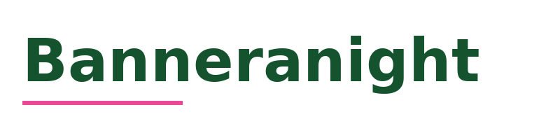 Banneranight logo